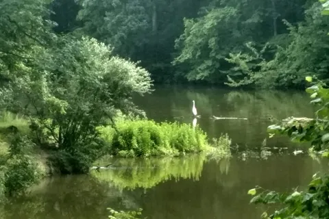 Lake Murphysboro State Park