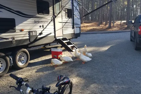 Elijah Clark State Park