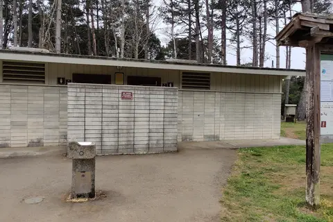 West Pinewood - MacKerricher State Park