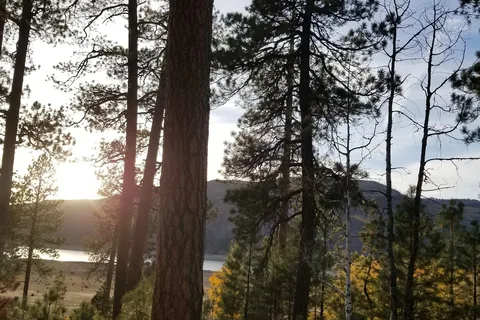 Blue Spruce RV Park and Cabins