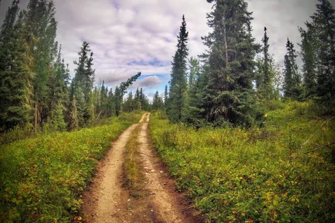 Bright Sand Lake Provincial Rec Site