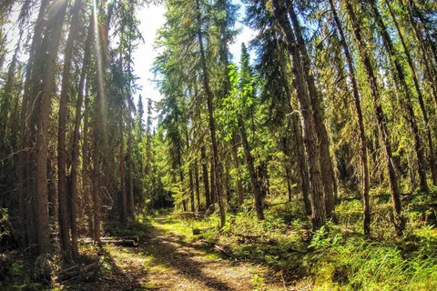 Bright Sand Lake Provincial Rec Site