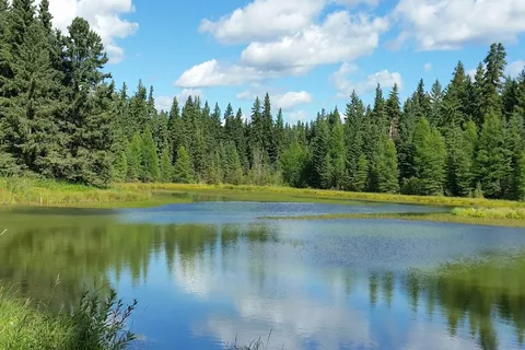 Bright Sand Lake Provincial Rec Site