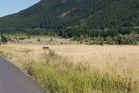 Crandell Campground - Waterton Lakes National Park