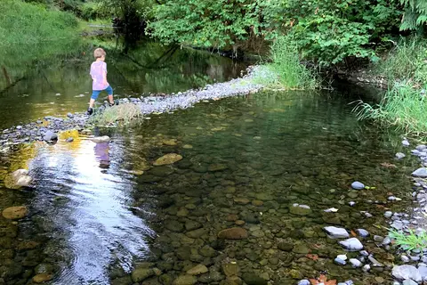 RV Outdoor adventures and Cabins