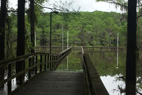 Caddo Lake State Park
