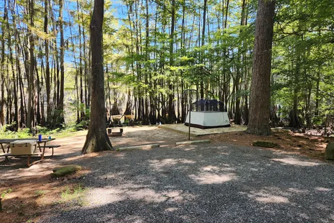 Caddo Lake State Park