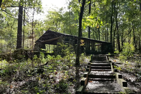 Caddo Lake State Park
