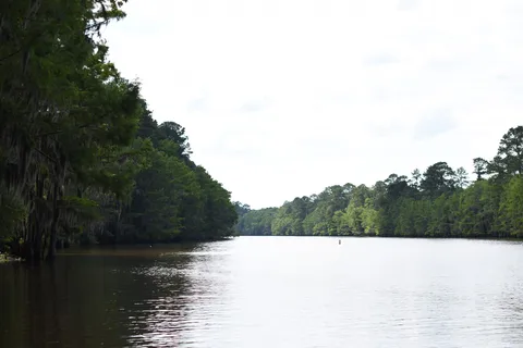 Caddo Lake State Park