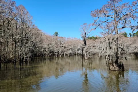 Caddo Lake State Park