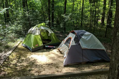Caddo Lake State Park