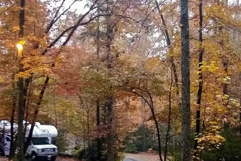 Solitude Pointe Cabins and RV Park