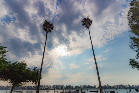 Delta Marina Yacht Harbor