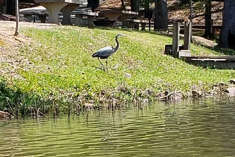 Blanton Creek Park Georgia Power