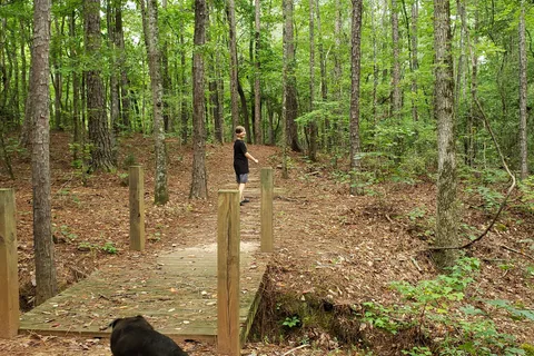 Blanton Creek Park Georgia Power