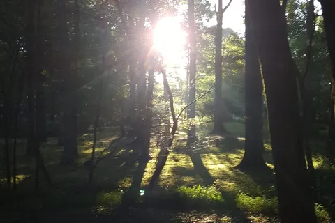 Spring Hill Park