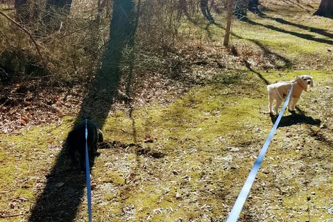 Spring Hill Park