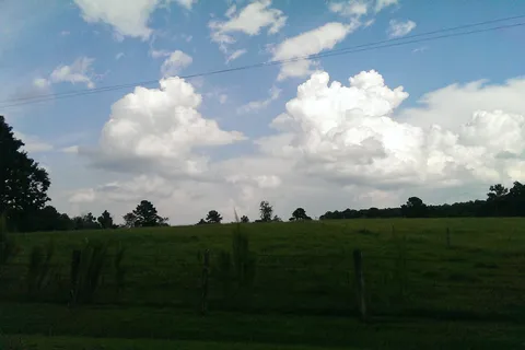 Spring Hill Park