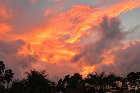 Koi RV Resort