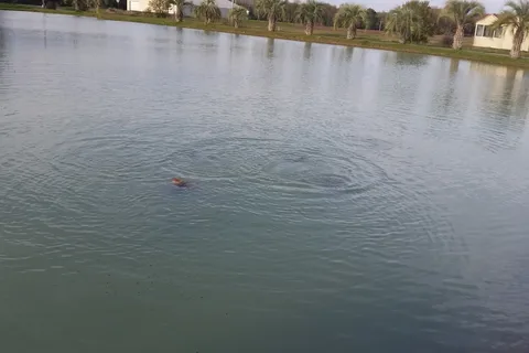 Koi RV Resort