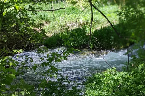 Rifle Falls State Park