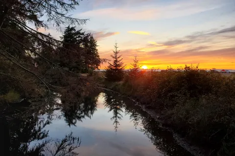 Birch Bay State Park