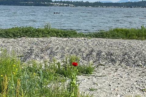 Birch Bay State Park