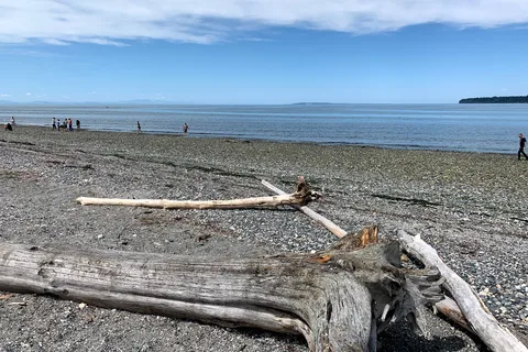 Birch Bay State Park
