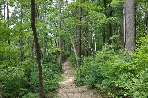 Twin Lakes State Park