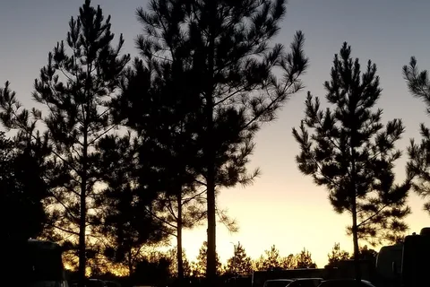 Fernbrook Park