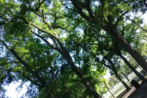 Riverside Park RV