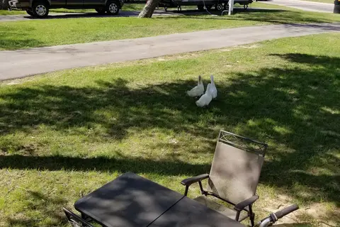 Riverside Park RV