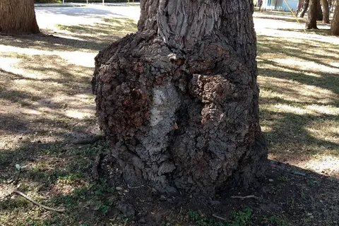 Riverside Park RV