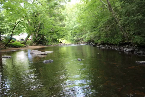 Nickerson Park Family Campground