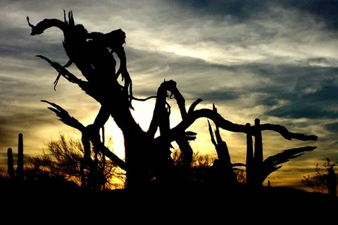 Holiday Palms RV Park
