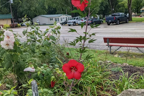 Pin Oak RV Resort