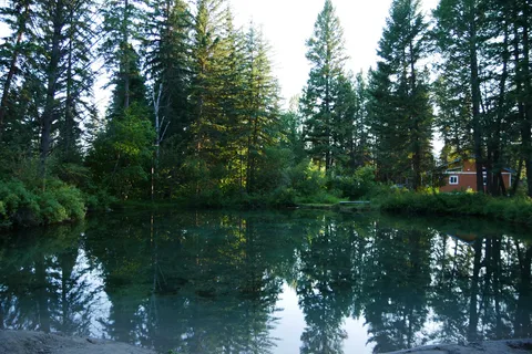 Springbrook Resort Motel and RV Park