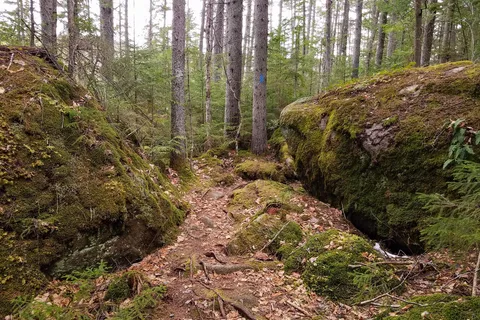 Kettle Pond State Park