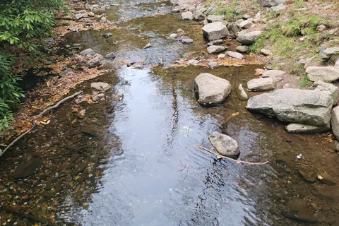 Hickory Run State Park