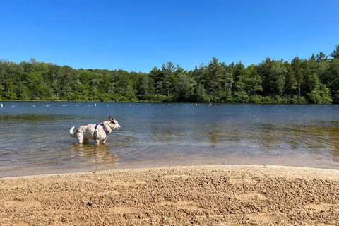 Hickory Run State Park