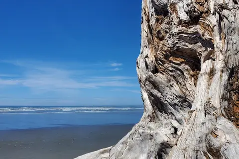 South Beach Campground - Olympic National Park
