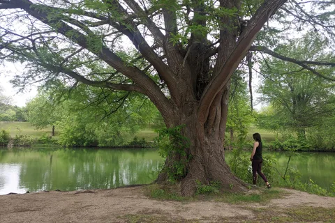 Blanco State Park