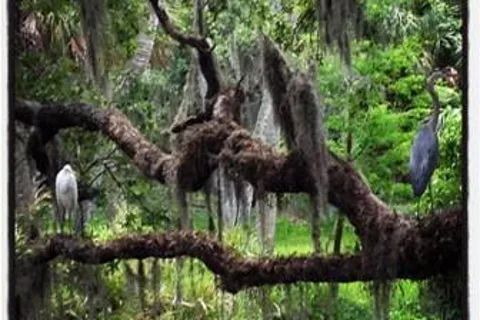 Frog Creek Campgrounds and RV Park