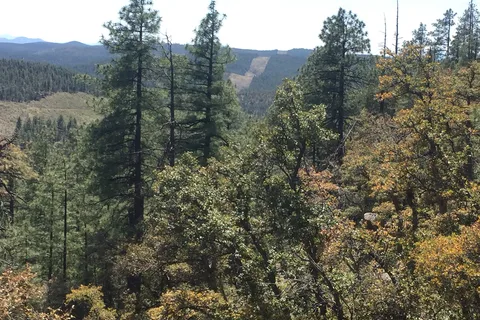 Upper Log Apache Reservation