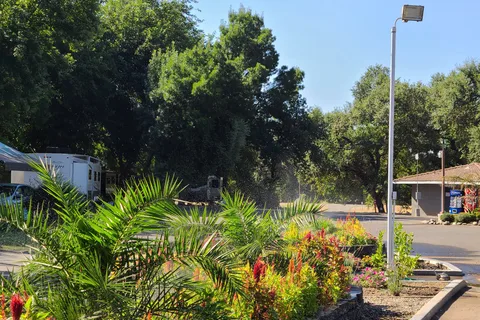 Sacramento River RV Park