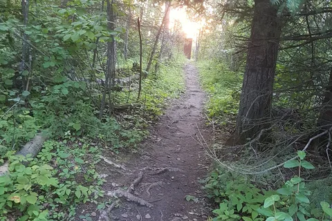 Greig Lake - Meadow Lake Provincial Park
