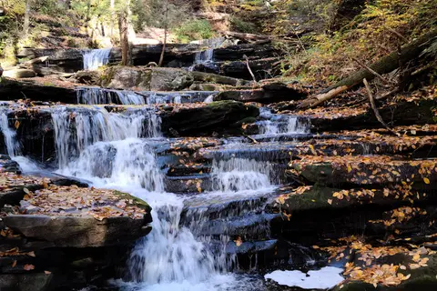 Ricketts Glen State Park