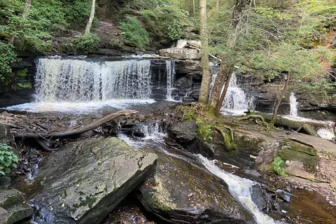 Ricketts Glen State Park