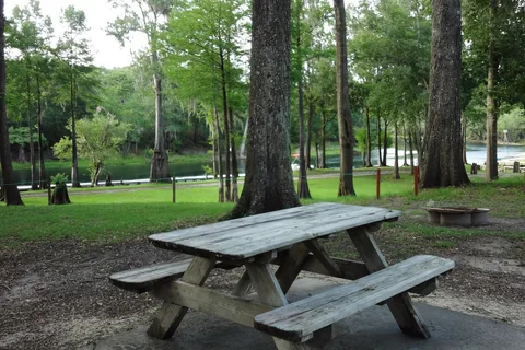 Ellie Ray's RV Resort
