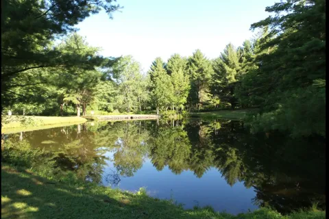 Aurora B's Family Campground